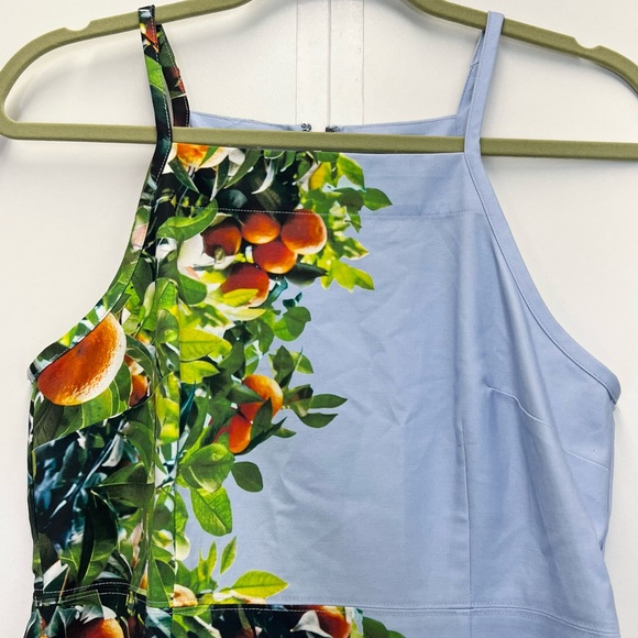 Anthropologie Maeve Orange Grove Dress Size 8P Sheath Fitted Spandex Midi Style - Picture 5 of 10